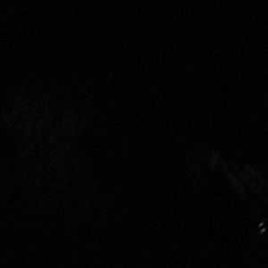 Meet your Posher, Dylan